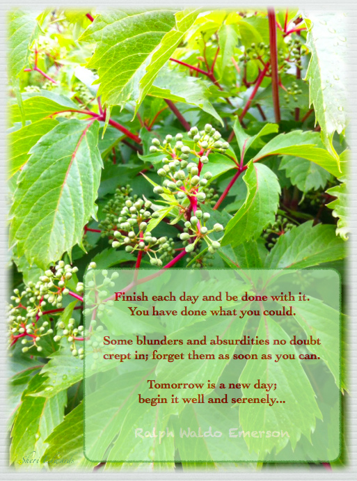 beginserenelyemerson