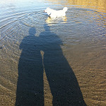 6133516120_34f886d515_q