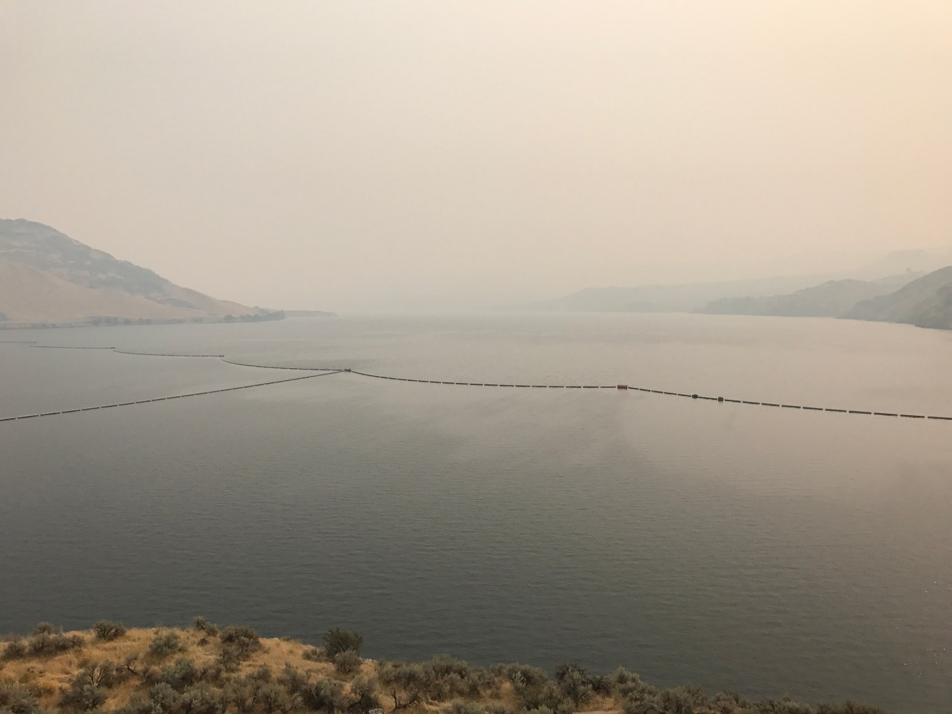 waiting_smoke_IMG_8105 3.JPG