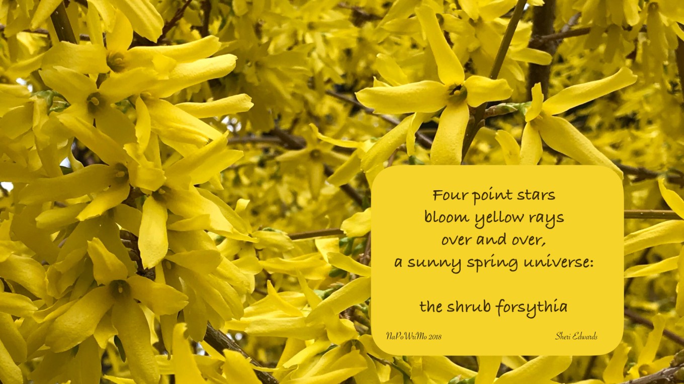 napowrimo18 the shrub.001.jpeg