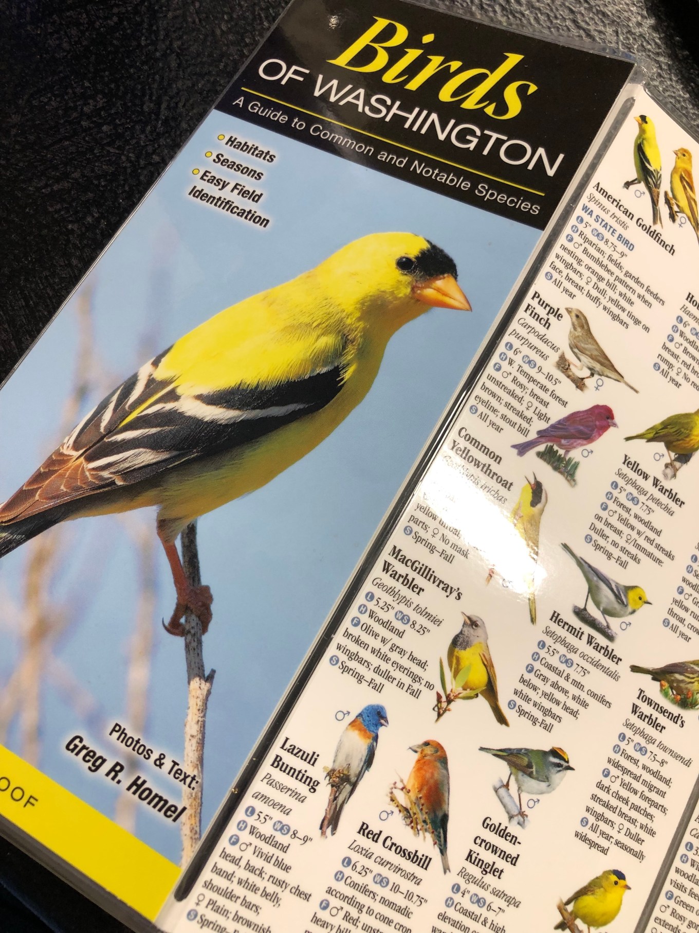 birdsbrochure