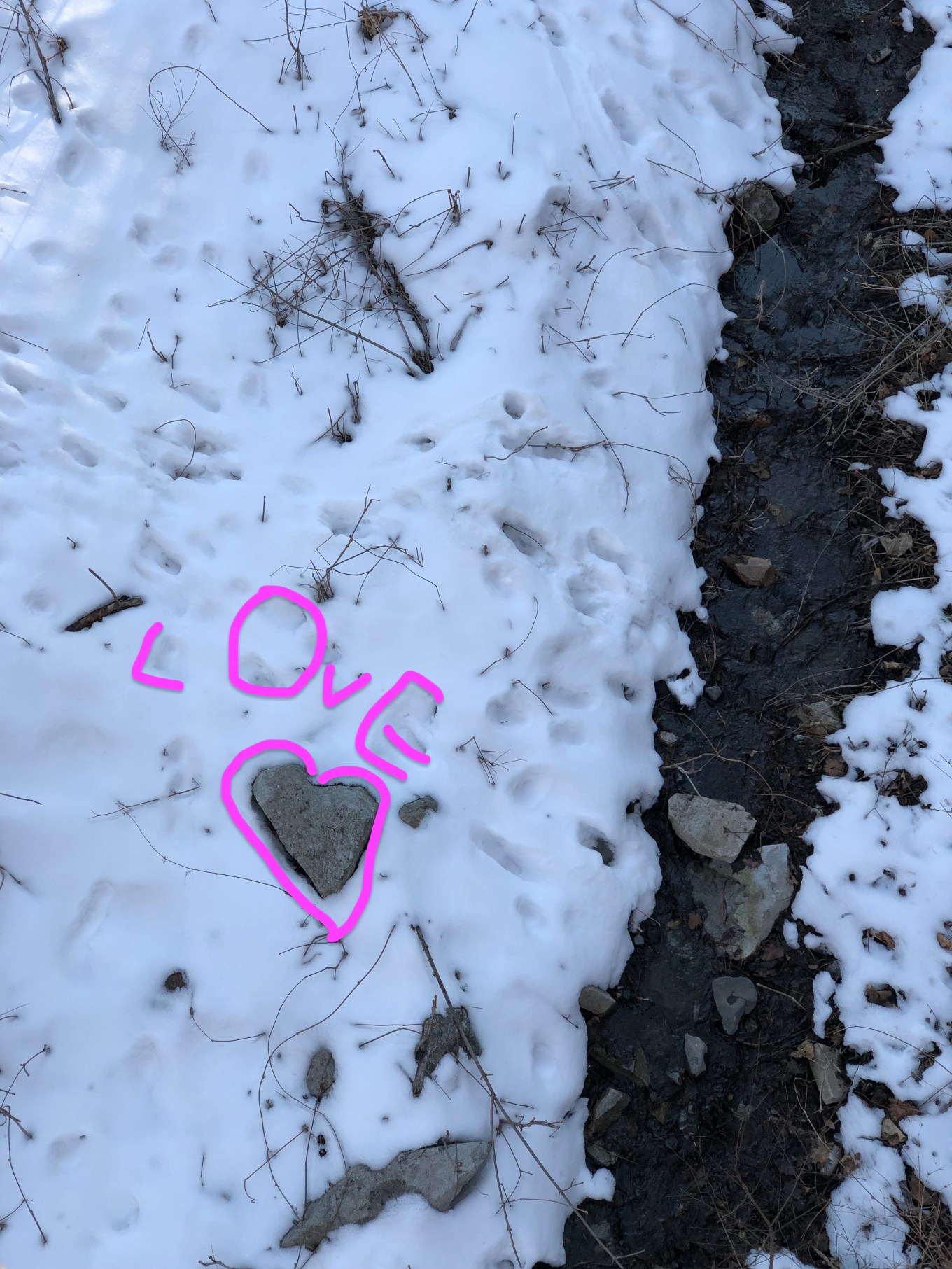 Fiddle Creek Love Rock part 2