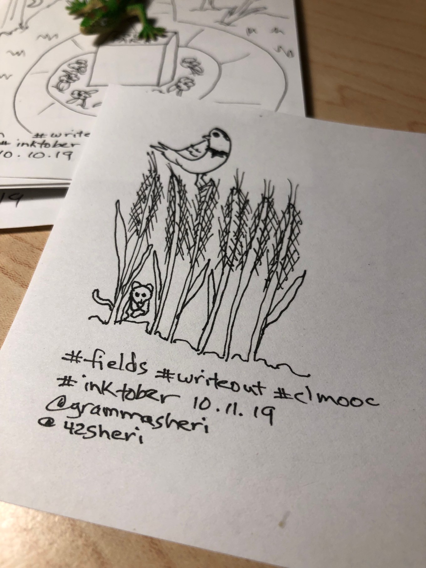 inktober11.fields.jpg