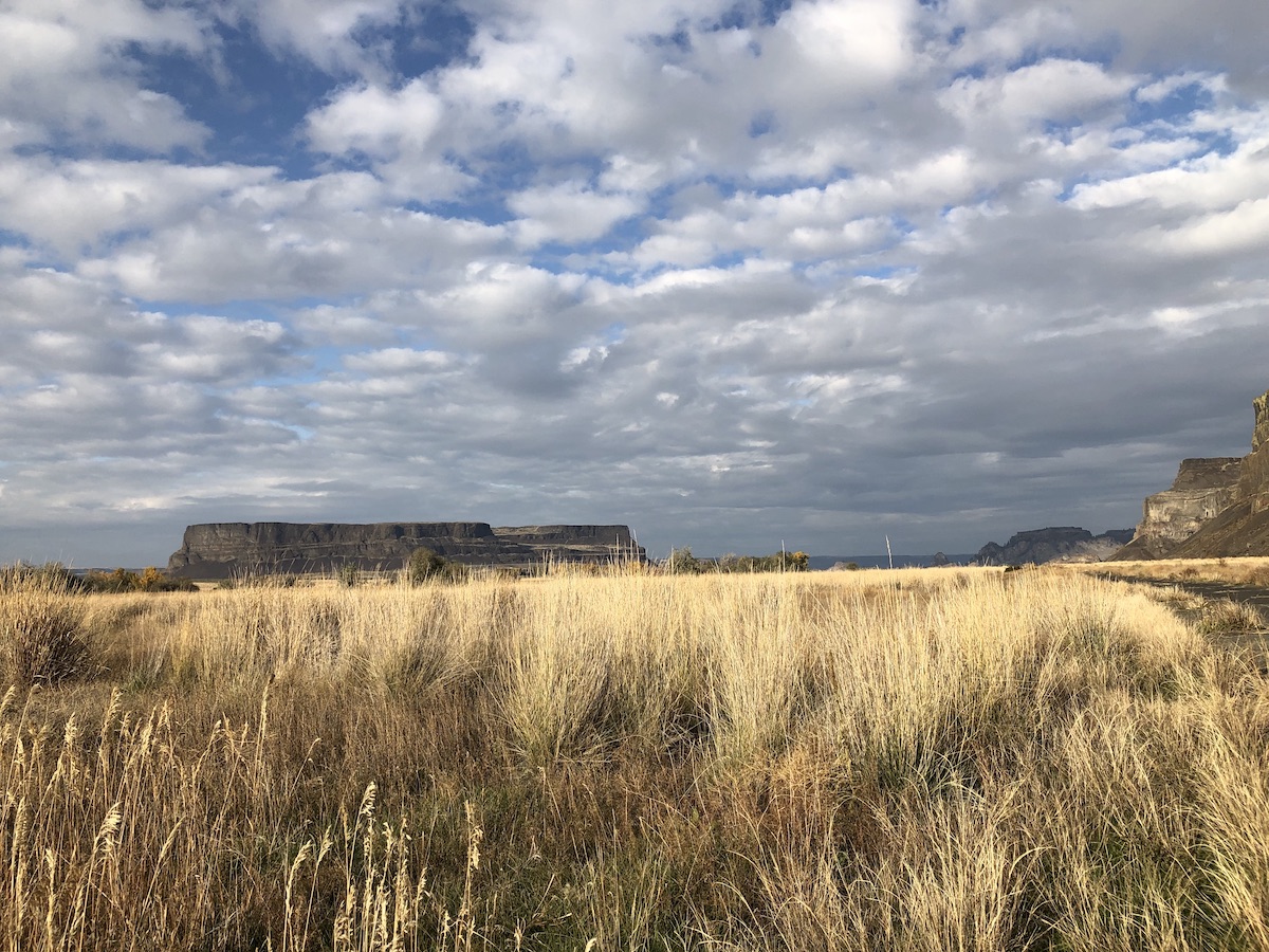 steamboat.rock.bunchgrass copy.jpg