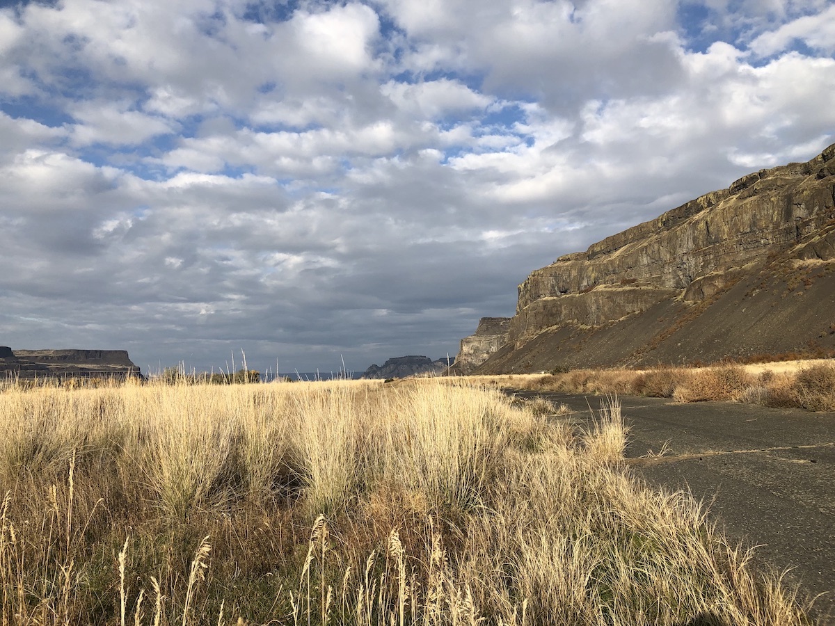 steamboatbunchgrassrocketroad sm.jpg