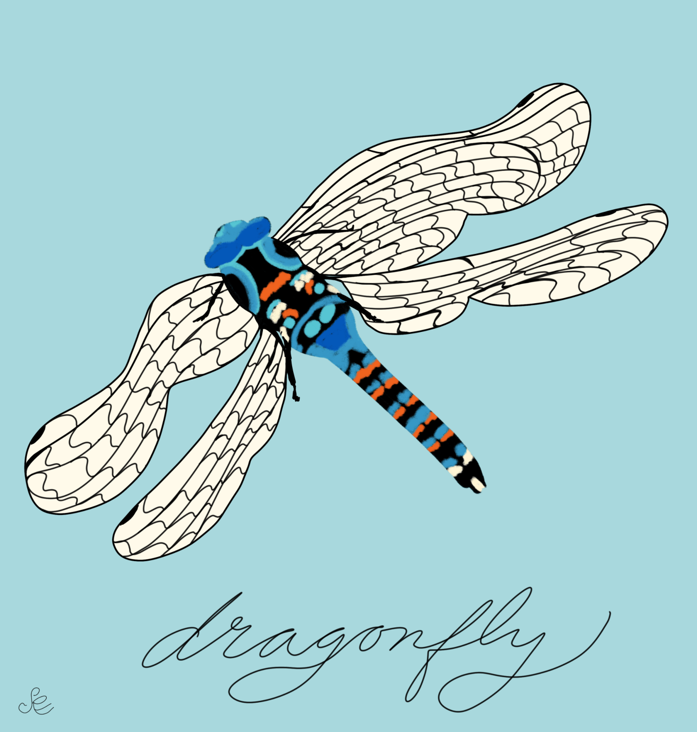 dragonflyscreen