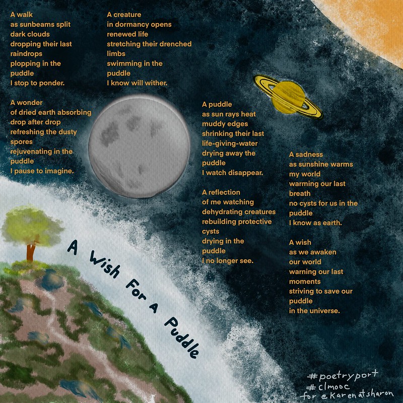 awishforapuddlesmall