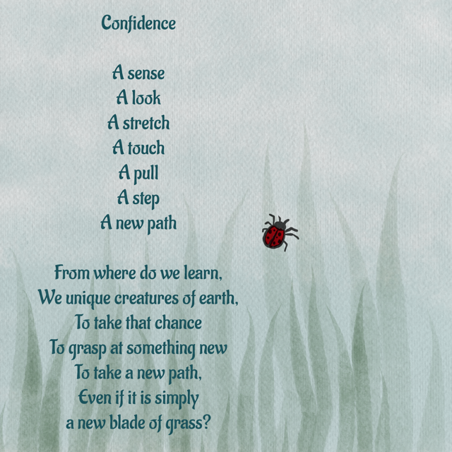 Confidence – 1DR What Else?