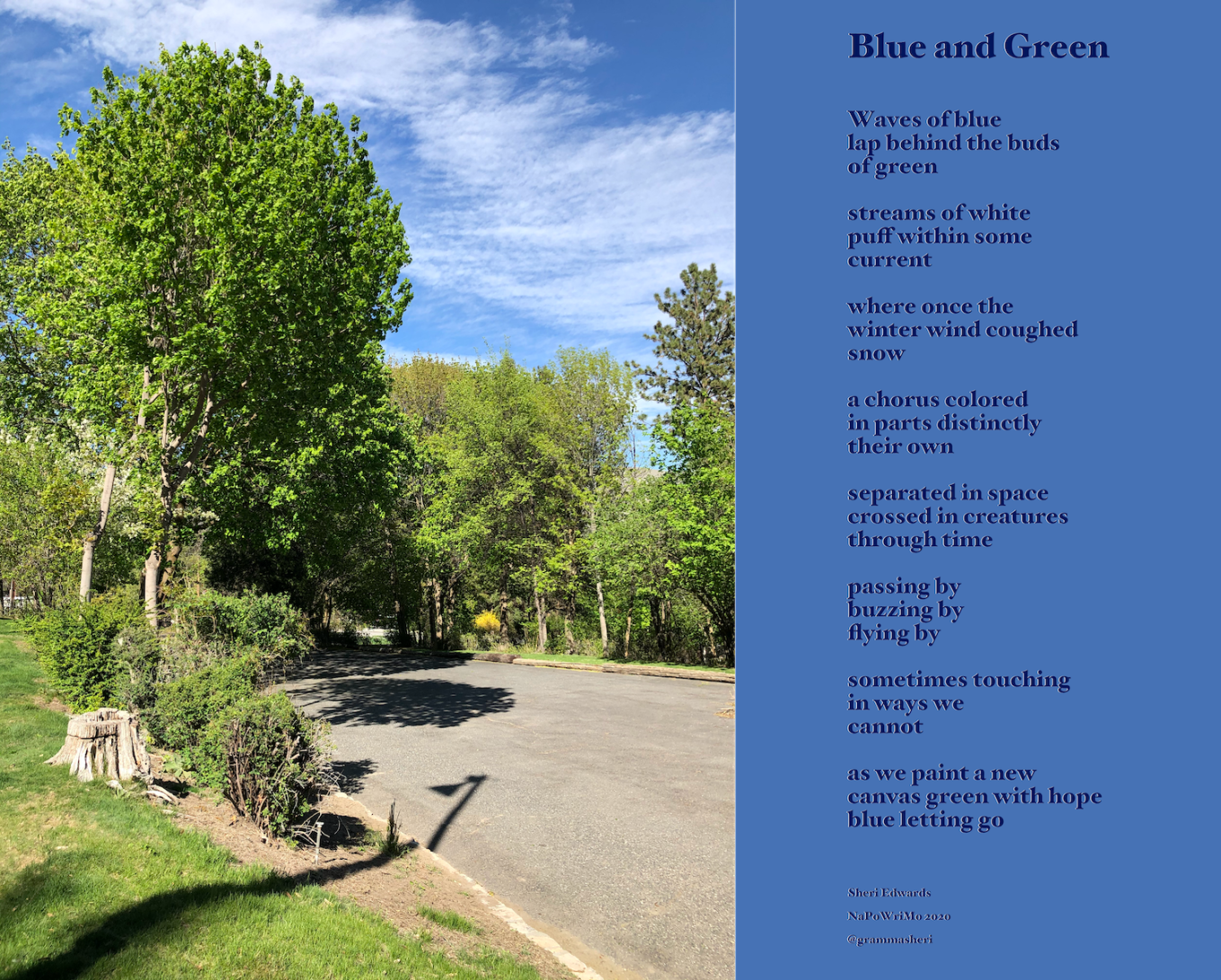 BlueAndGreen_NaPoWriMosmall