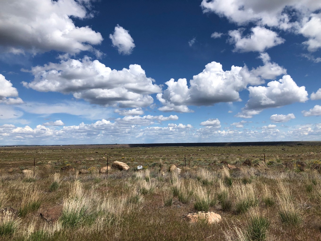 cumulous_erratics_boulders_IMG_5022