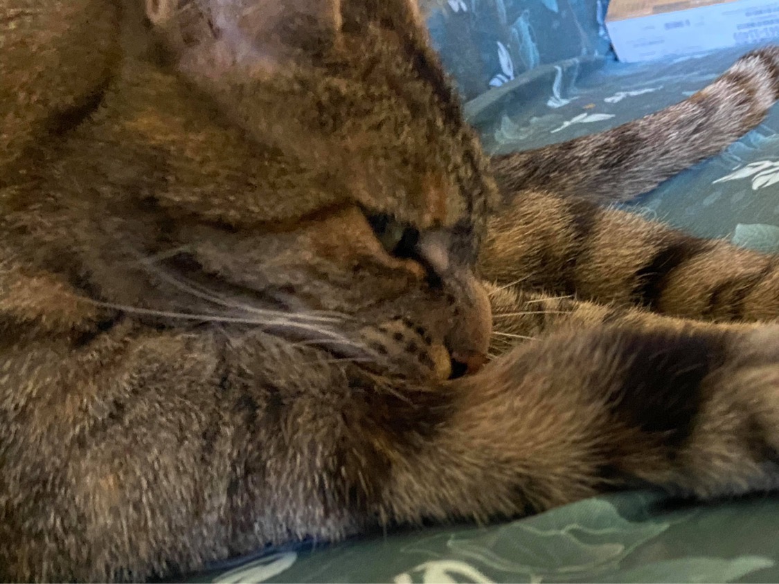 donteventhinkaboutit