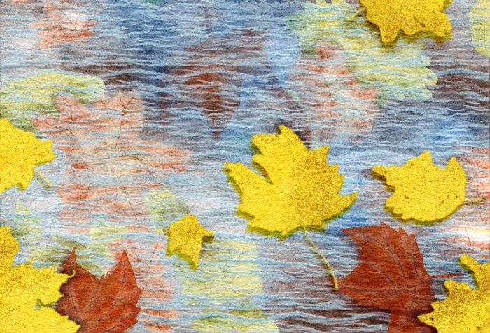 illustrated autumn maple leaves floating in water