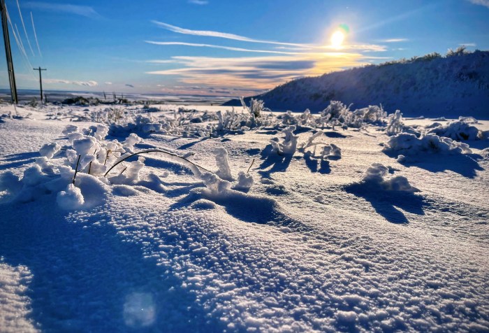 snow in piles on weeds in the field