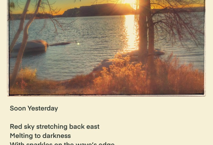 sunset sparkles on the water as gentle waves lap the shore and protruding rocks beneath the bare autumn trees