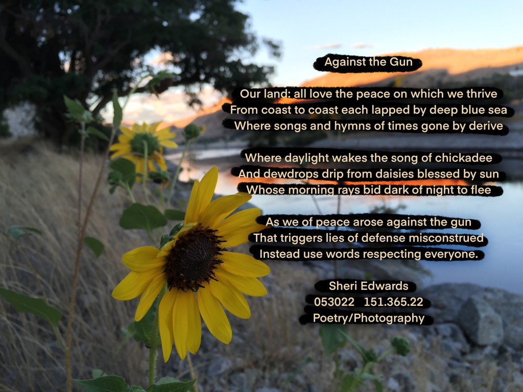 Against the Gun poem over sunflowers along the river at sunrise/sunset.