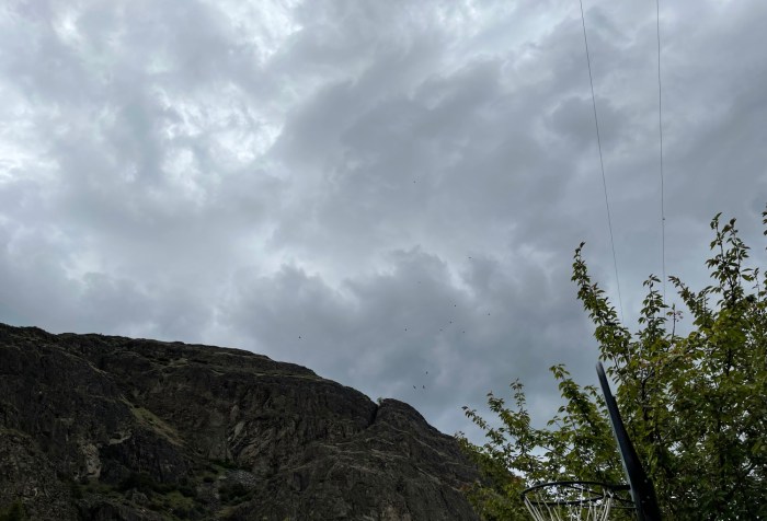 Storm clouds over granite bluff above leafy tree and basketball hope with barely visible circling birds of prey