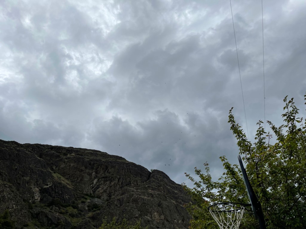Storm clouds over granite bluff above leafy tree and basketball hope with barely visible circling birds of prey