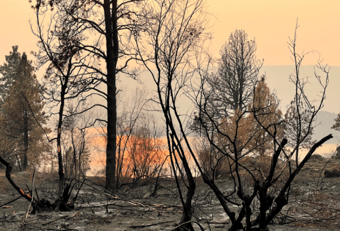 Banks Lake Northrup Canyon smokey red sunset through burned trees to lake