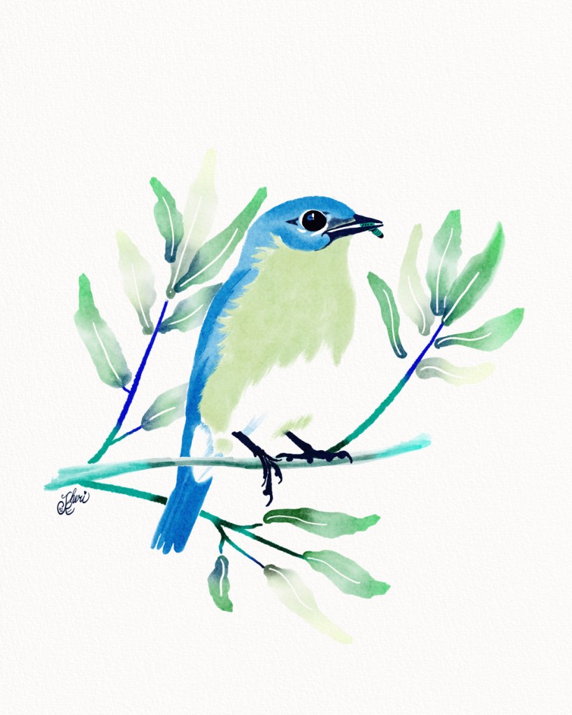 Watercolor Bluebird with green breast