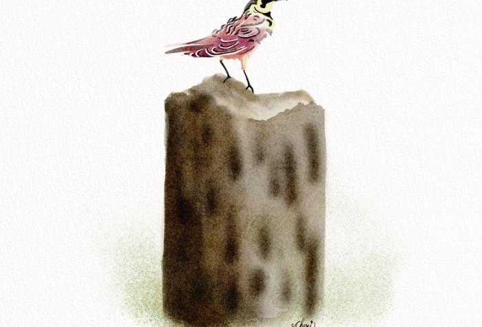 Water color of tiny red black and yellow bird on fence post