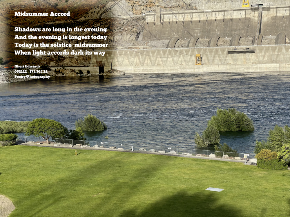 Shadows in the park on the Columbia River