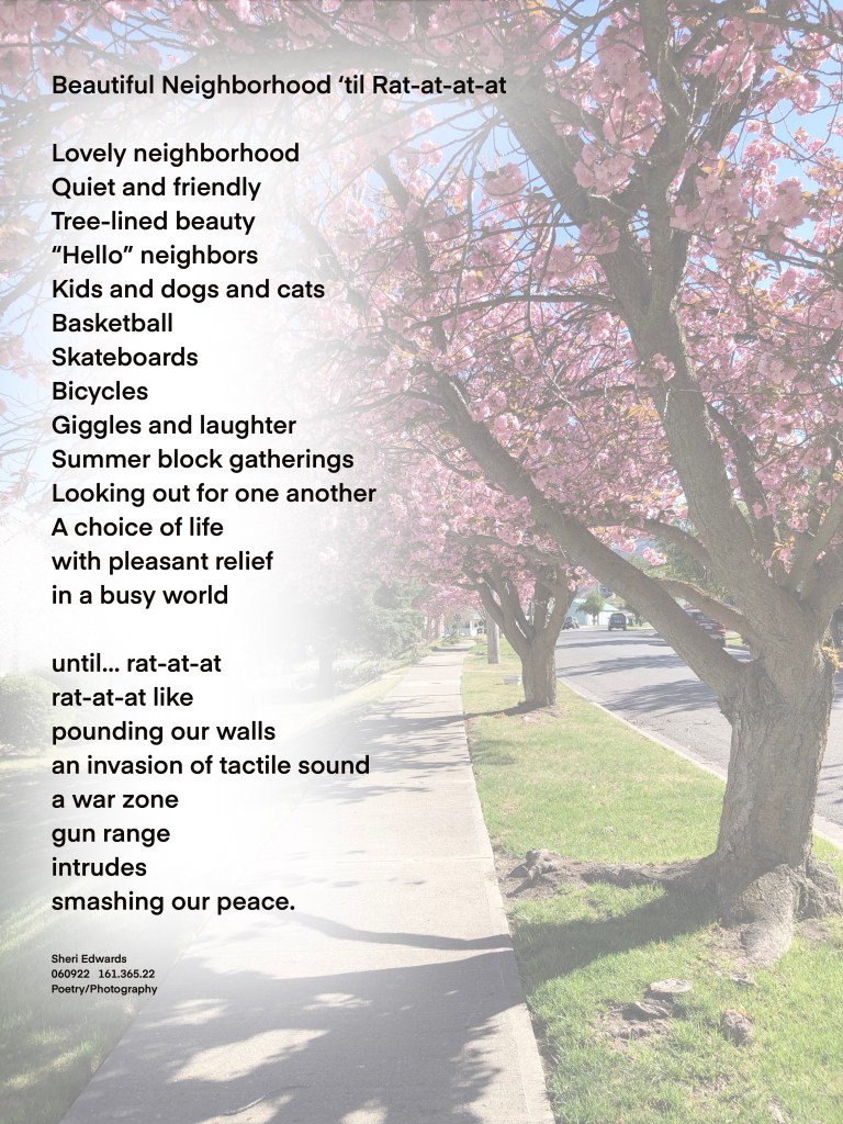 poem over sidewalk along a tree-lined street with fully blooming cherry treas