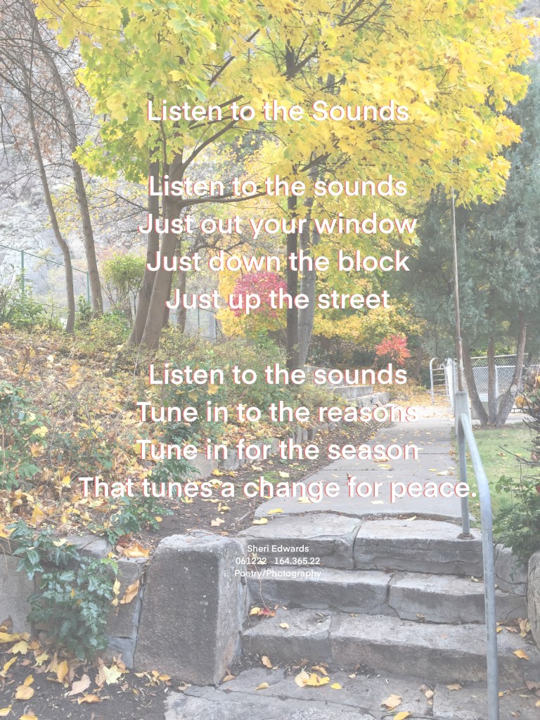a poem on a scene from a local park