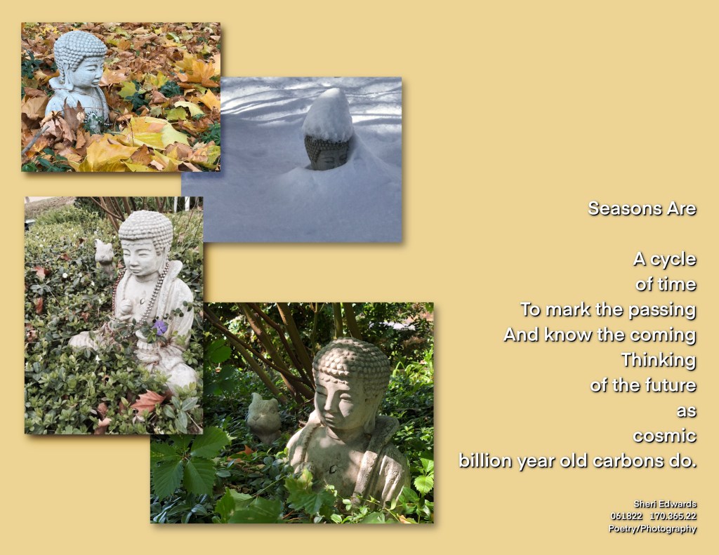 statue of buddha outside in the four seasons