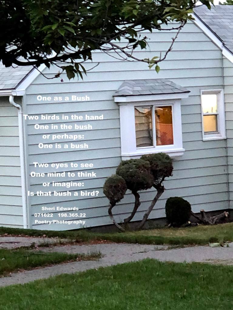 bush by side of house looks like a large bird pulling up a worm