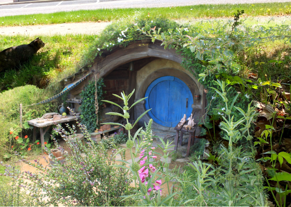 blue hobbit door in a hobbit house with a beautiful garden and a cat slinking up the side of the house