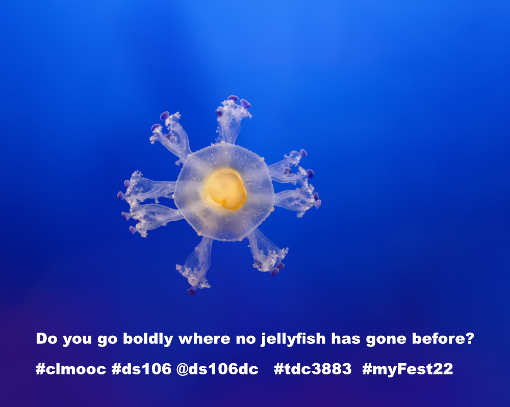 fried egg jellyfish looks like a space ship. "Do you go boldly where no jellyfish has gone before?