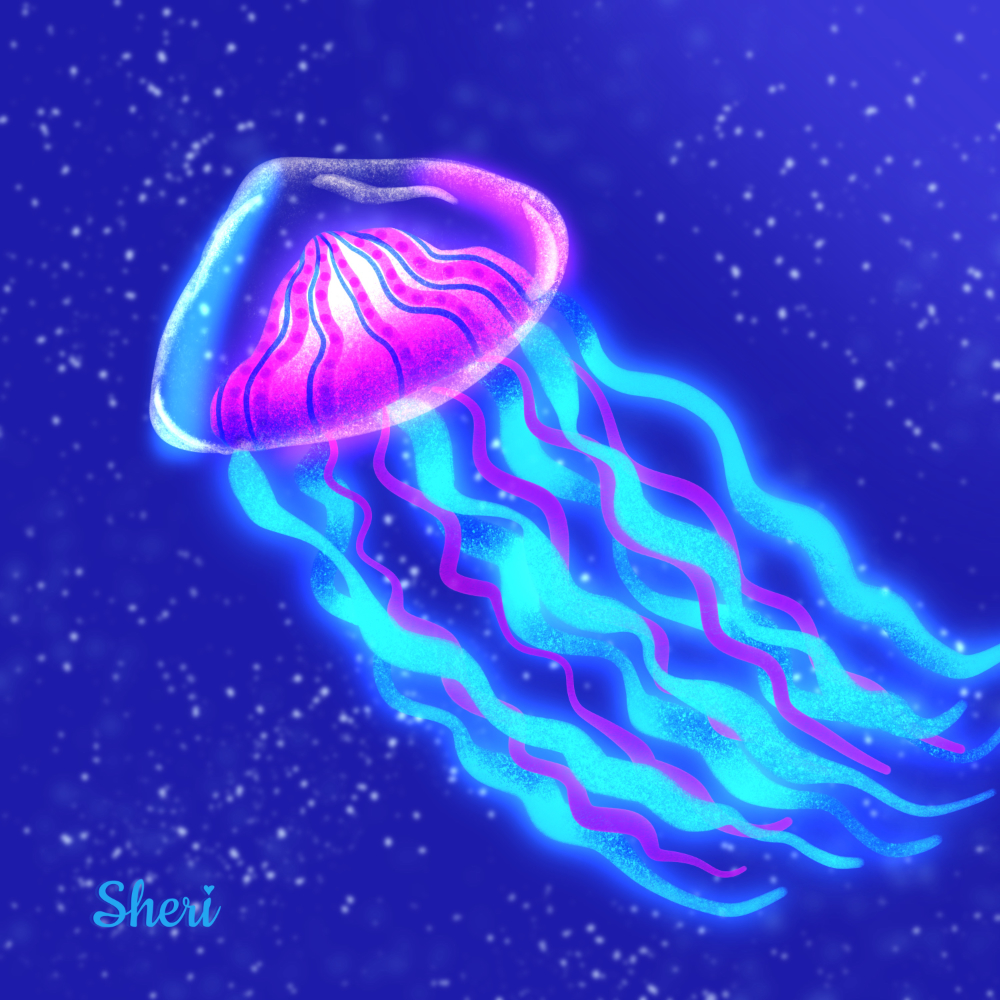 glowing jellyfish in teal and pink