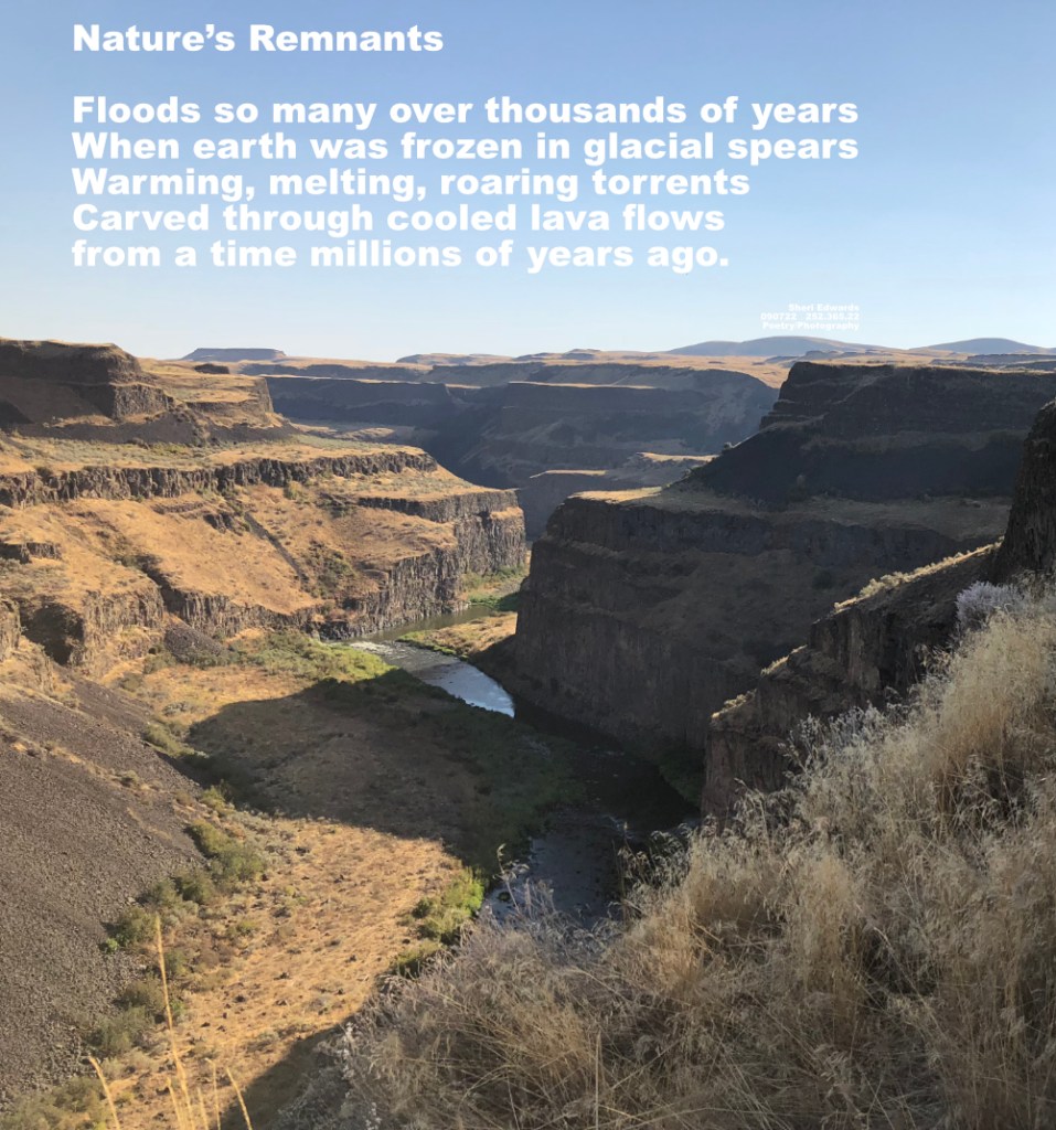 Palouse River carved through layers of lava flows from millions of years ago by glacial floods thousands of years ago