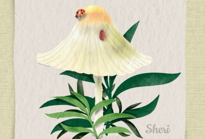white mushroom with ladybug on top