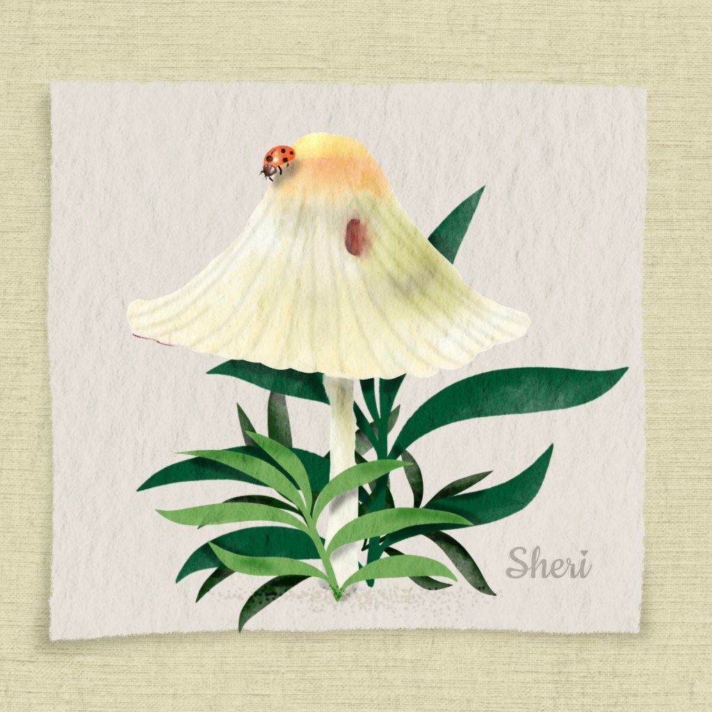 illustrated digital waterclorr of mushroom in the weeds with ladybug on top